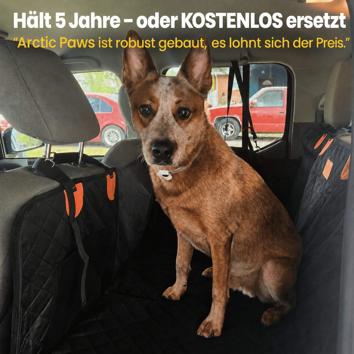 Arcticpaws - Autositzschutz