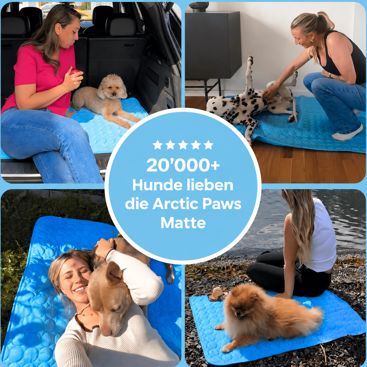 Arcticpaws - Hundekühlmatte