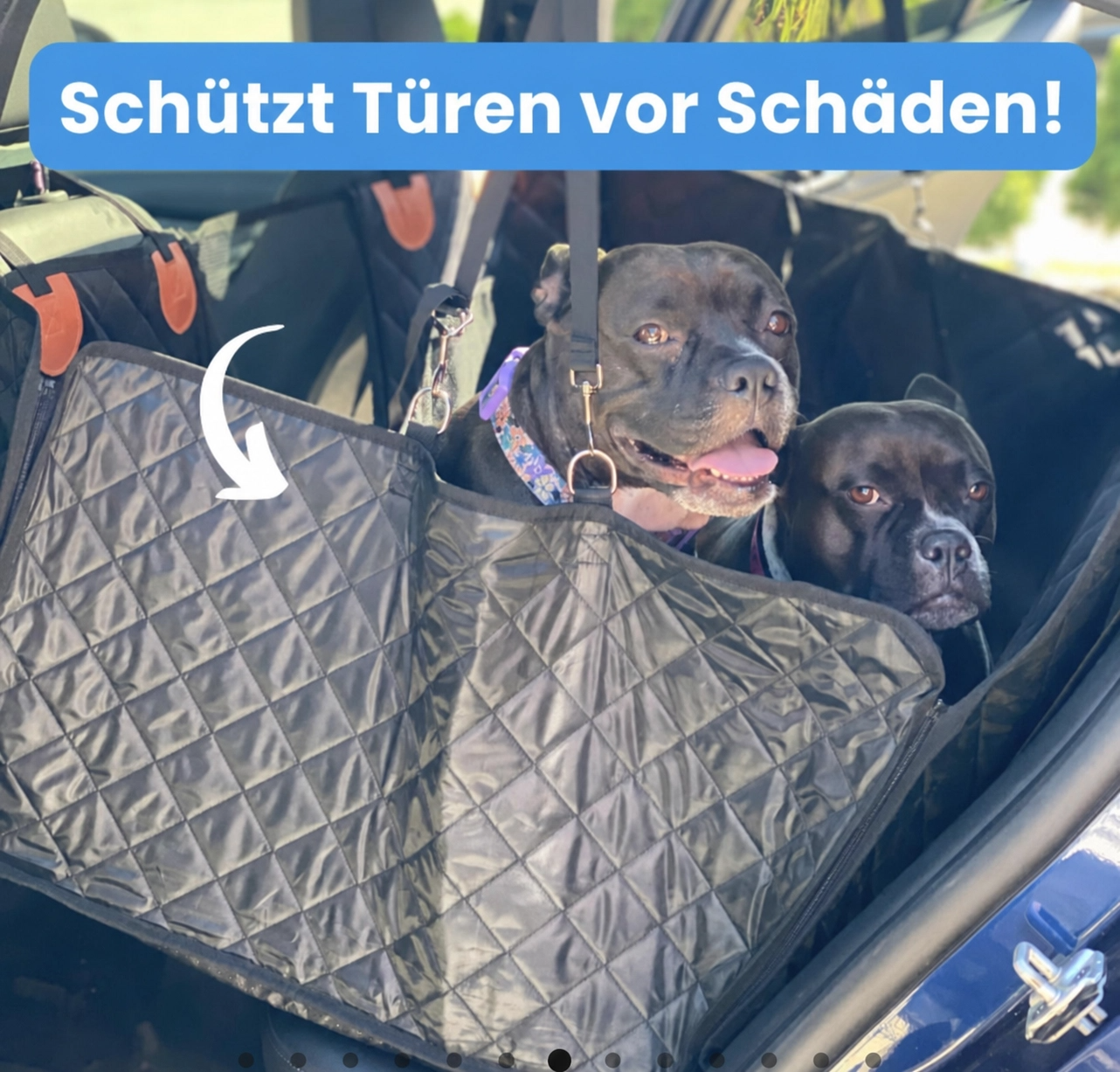 Arcticpaws - Autositzschutz